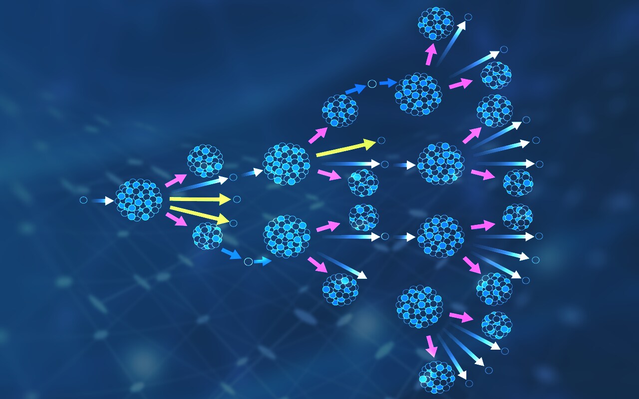 Neutron Valli Arunachalam On The  Chain Reaction She Hopes To Set Off At Murugappa