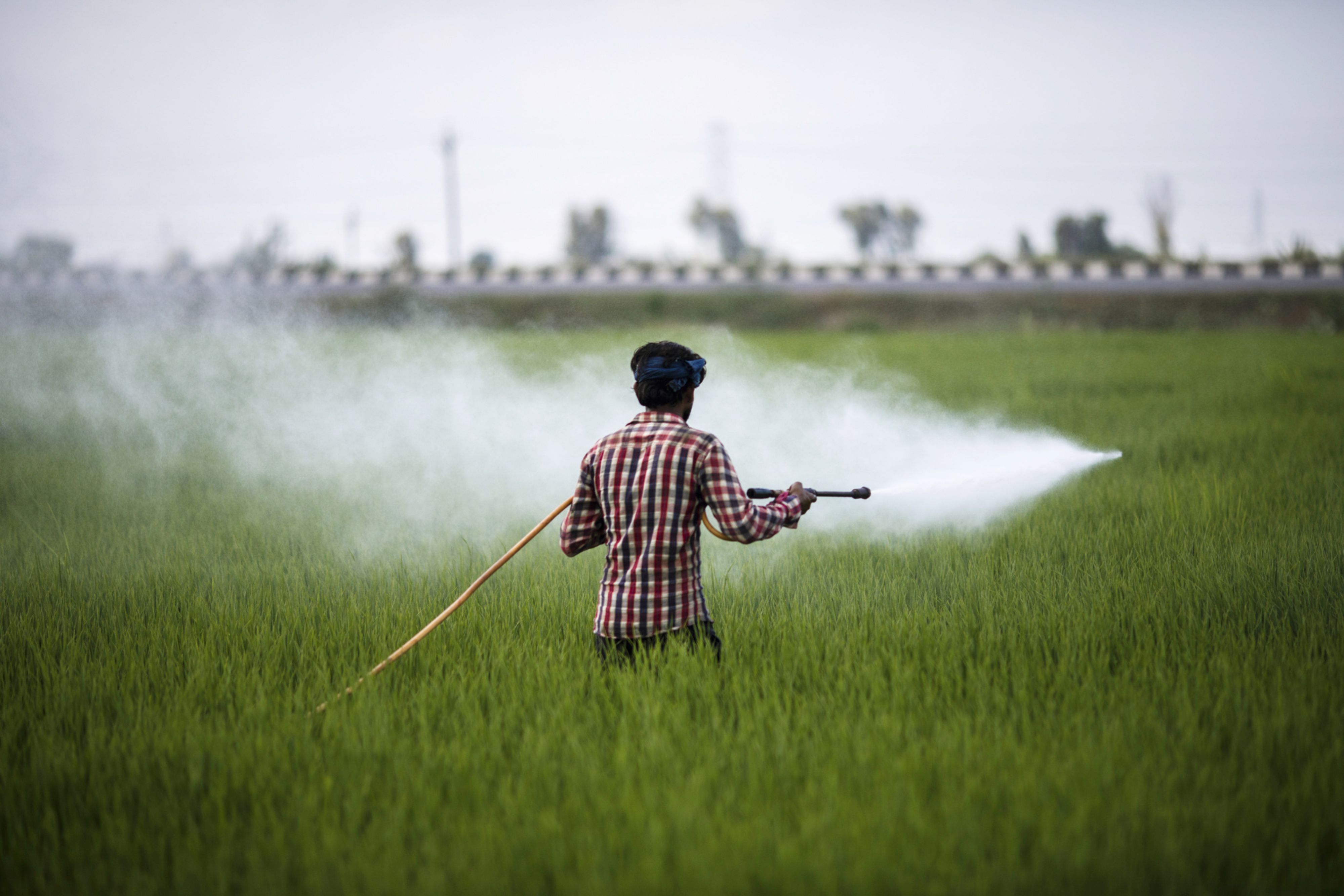 India Pesticides IPO - Growth Prospects, Key Risks: ICICI Direct