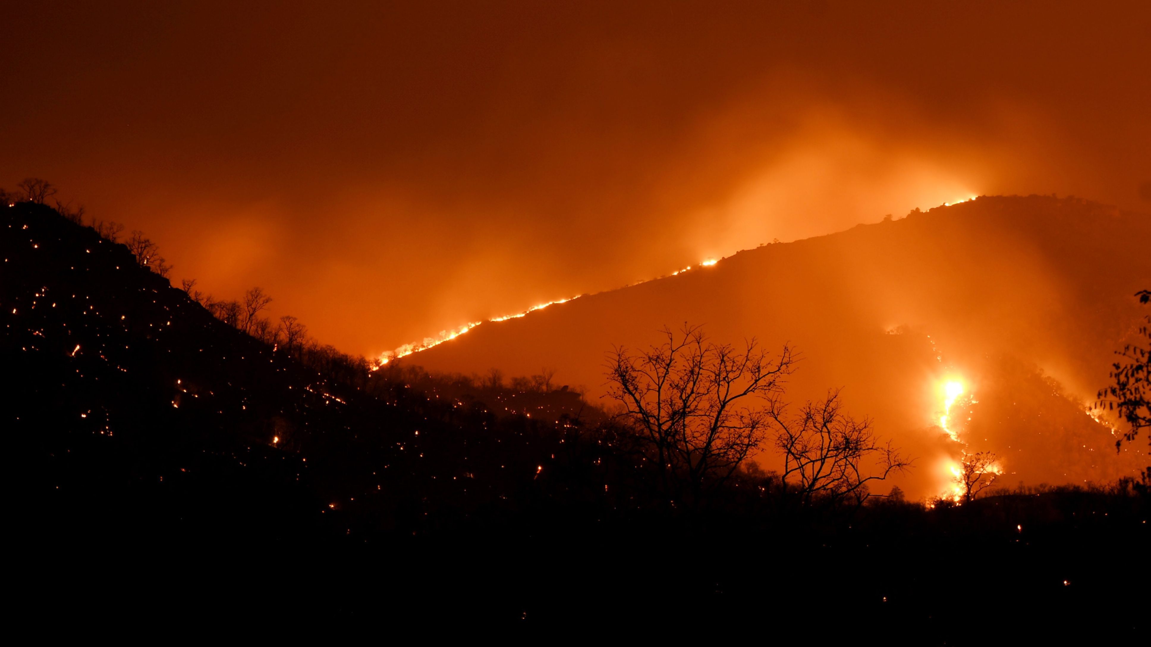 ISRO Says 10K Acres of Bandipur Burnt, Officials Downplay Damage