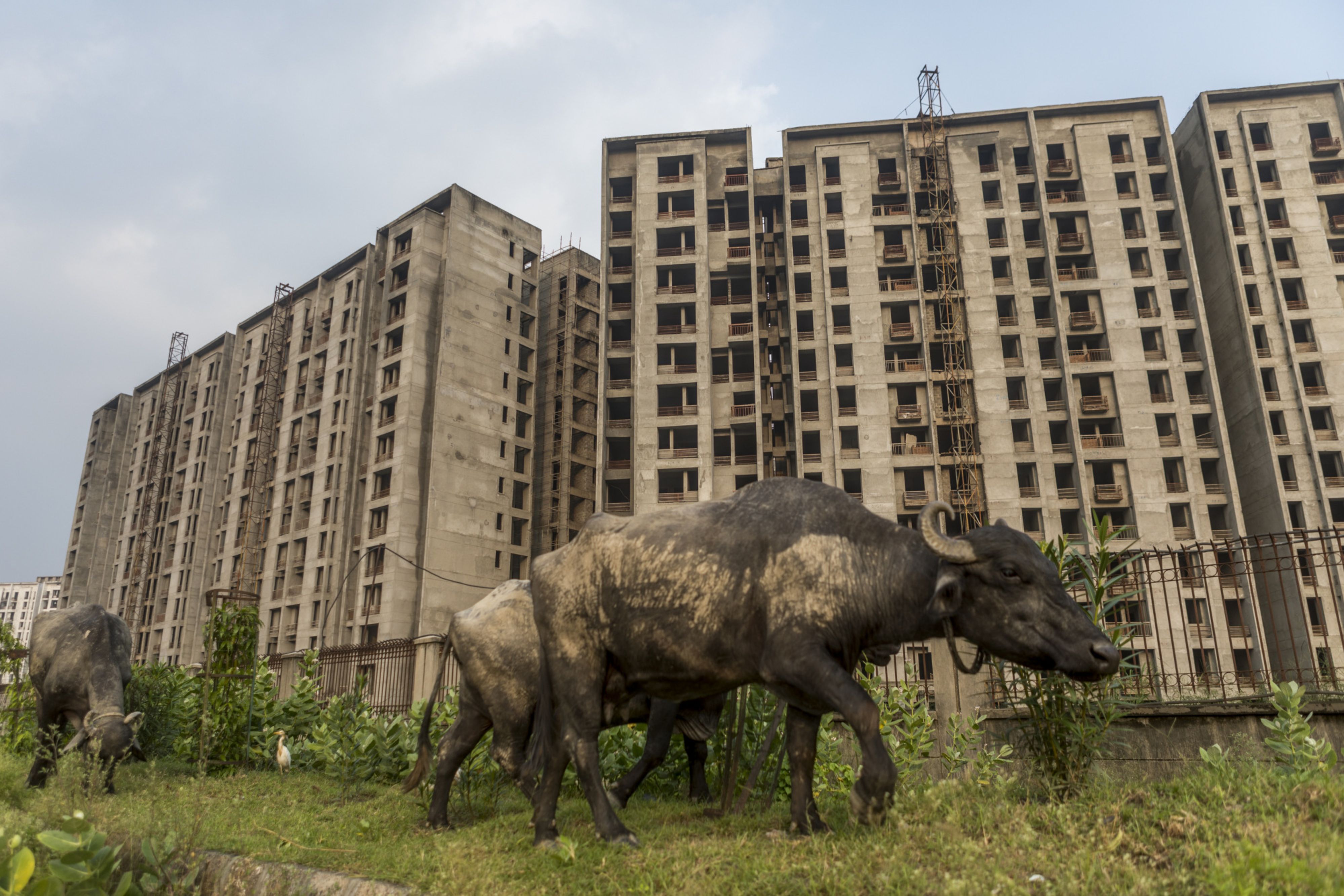 Hope For Jaypee Infratech Homebuyers As Final Bids Are Submitted