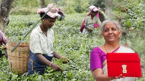 Union Budget 2026: Tea Industry In Assam Urges FM For MSP And Better Wages