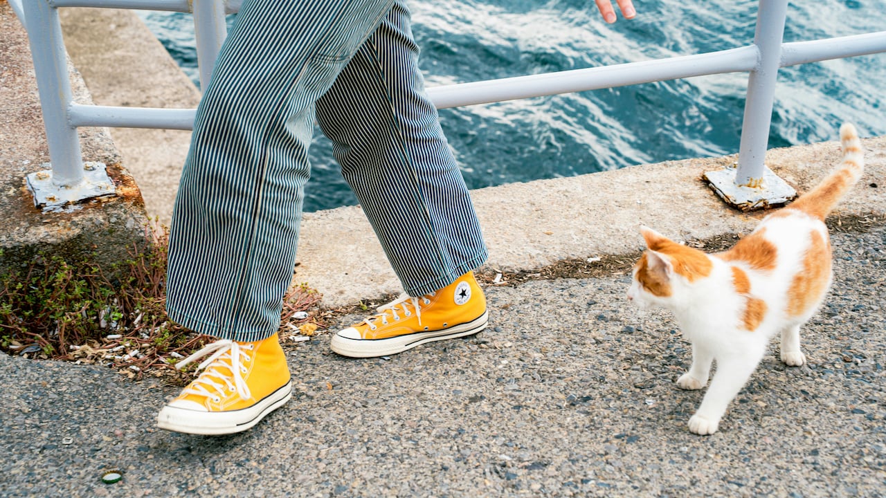 Explore what causes pain after wearing new shoes even if you get the size right