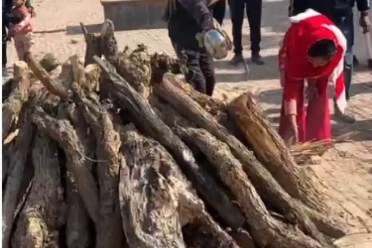 Latest and Breaking News on NDTV