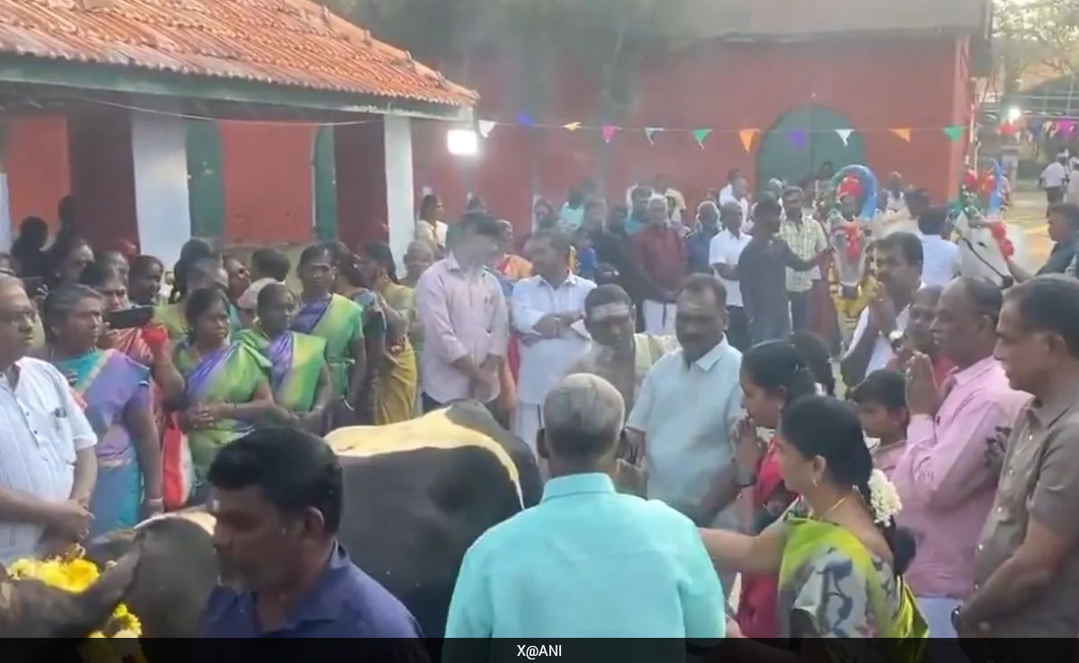 Millions In Tamil Nadu Celebrate Pongal With Fervour, PM Extends Greetings