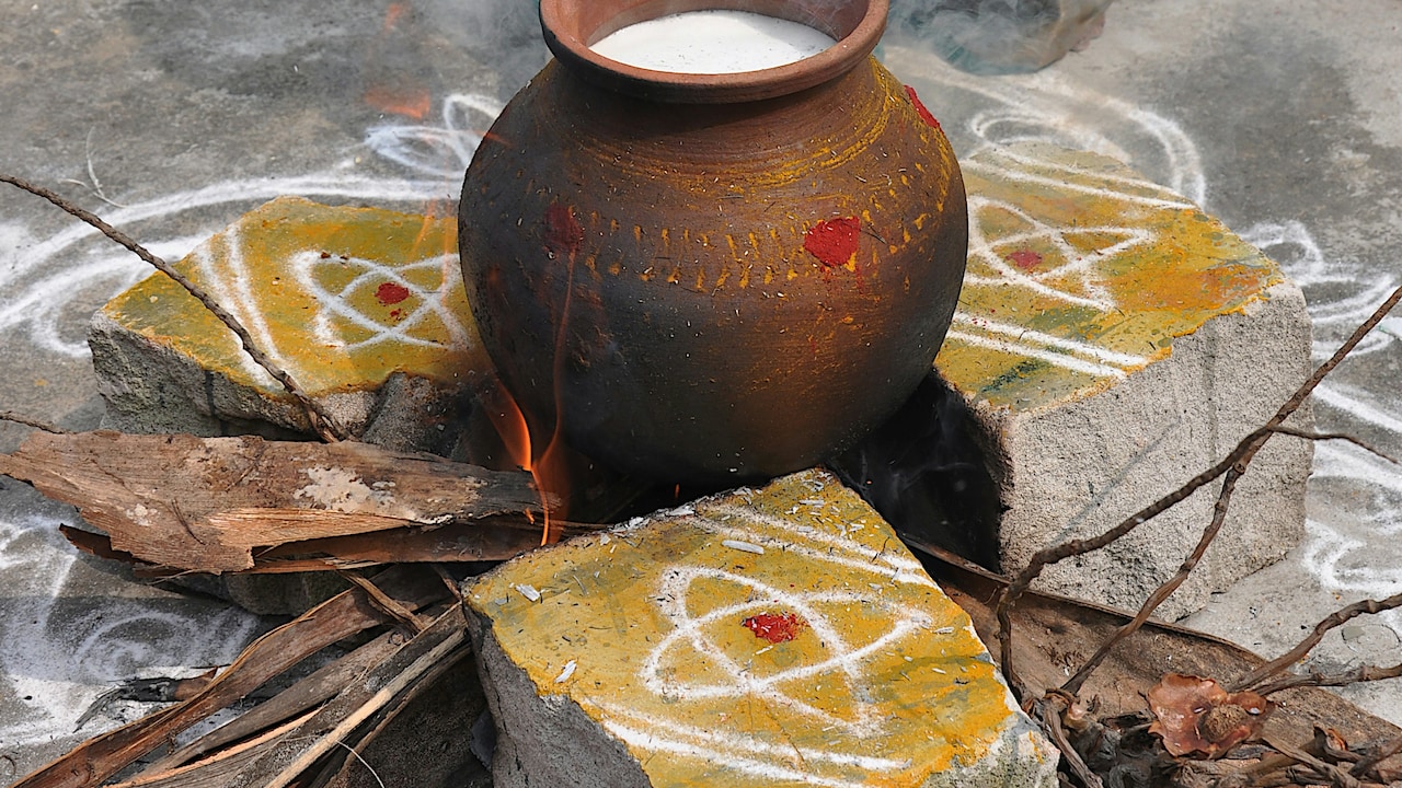 Which home decor will you choose to decorate your home for Pongal 2026? Which home decor will you choose to decorate your home for Pongal 2026?