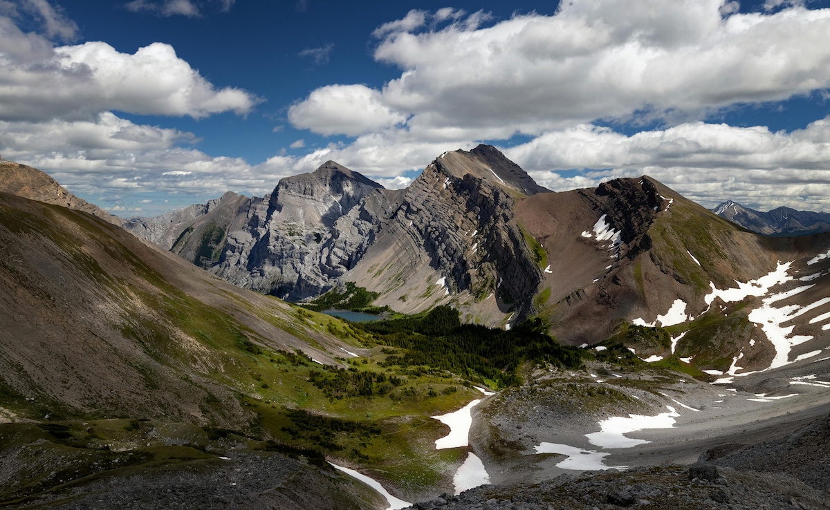 Image credit: Pexels