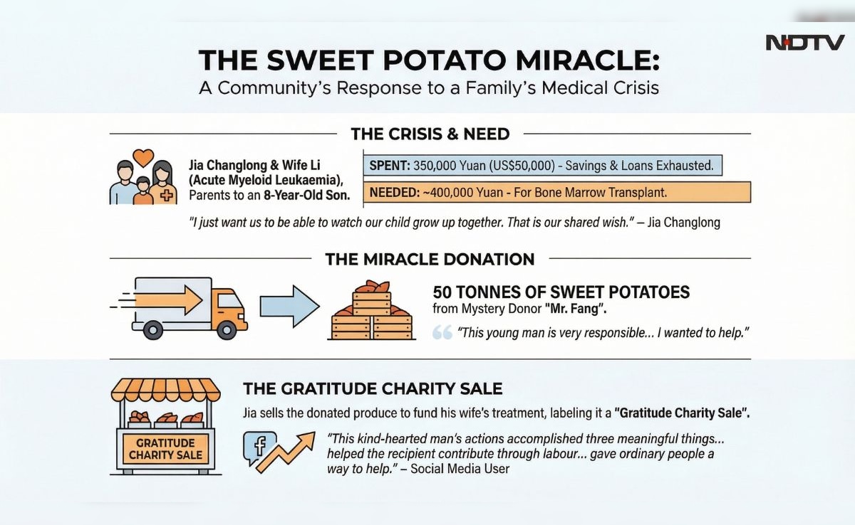 Latest and Breaking News on NDTV