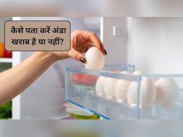 अंडों को फ्रिज में कितने दिनों तक रखा जा सकता है? कैसे पता करें अंडा खराब हो गया है, जानिए यहां