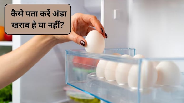 अंडों को फ्रिज में कितने दिनों तक रखा जा सकता है? कैसे पता करें अंडा खराब हो गया है, जानिए यहां