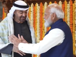 Carved Wooden Swing, Pashmina Shawls: PM Modi's Gifts For UAE President