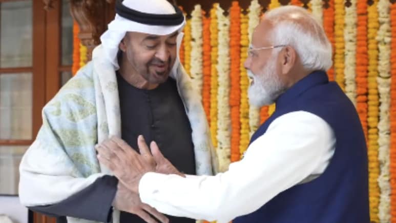 Carved Wooden Swing, Pashmina Shawls: PM Modi's Gifts For UAE President