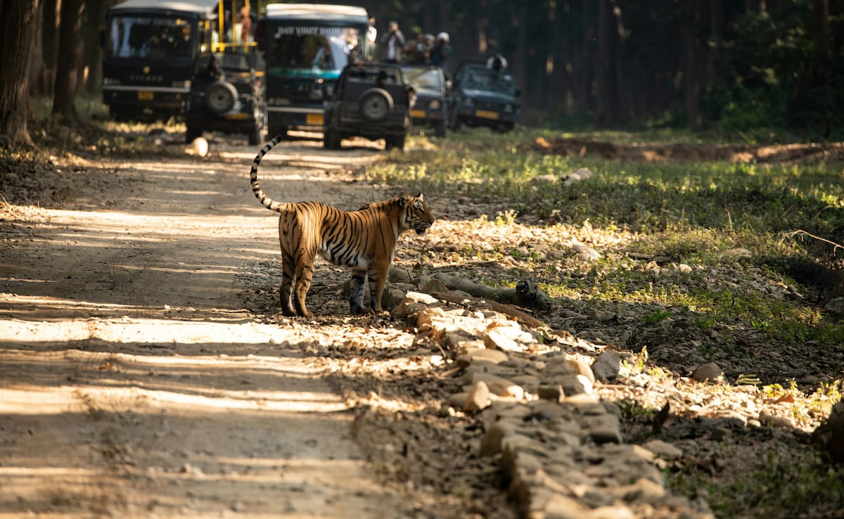 Latest and Breaking News on NDTV