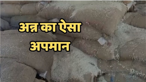 PDS Rice: एमपी में गरीबों के हक़ का 48 हजार क्विंटल चावल सड़ गया, दो साल तक सोता रहा सिस्टम