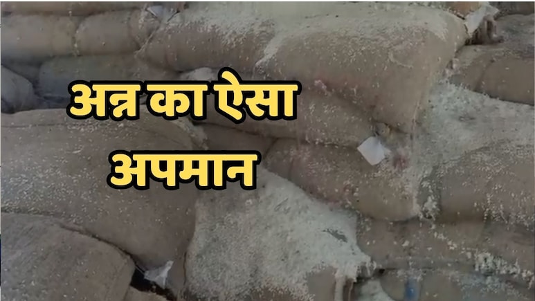 PDS Rice: एमपी में गरीबों के हक़ का 48 हजार क्विंटल चावल सड़ गया, दो साल तक सोता रहा सिस्टम