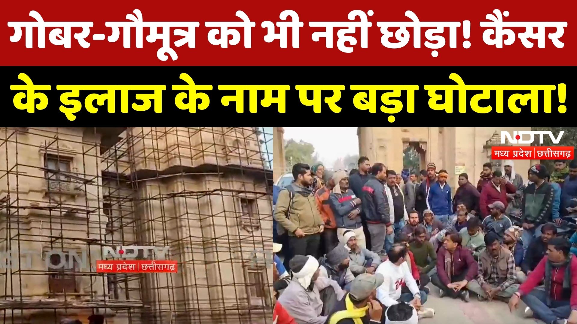 Jabalpur News: Panchgavya Research Project में Cancer के इलाज के नाम पर गड़बड़ी? | MP News | Top