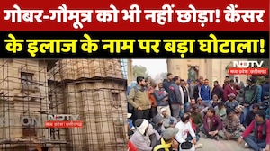 Jabalpur News: Panchgavya Research Project में Cancer के इलाज के नाम पर गड़बड़ी? | MP News | Top