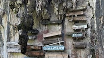 Why This Tribe In The Philippines Hangs Coffins From Cliffs