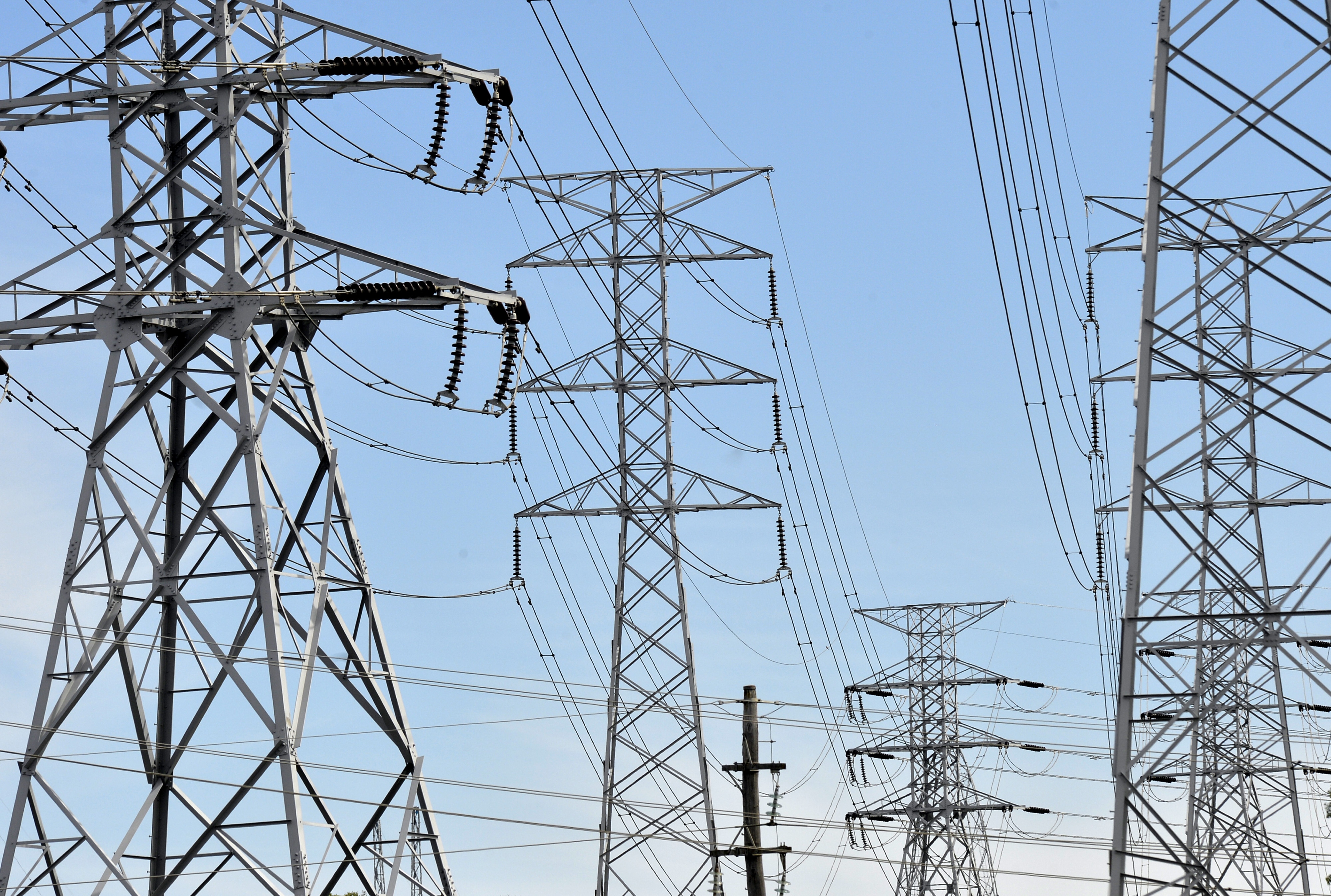 Kalpataru Power Secures Two New Projects Worth Rs 1,900 Crore