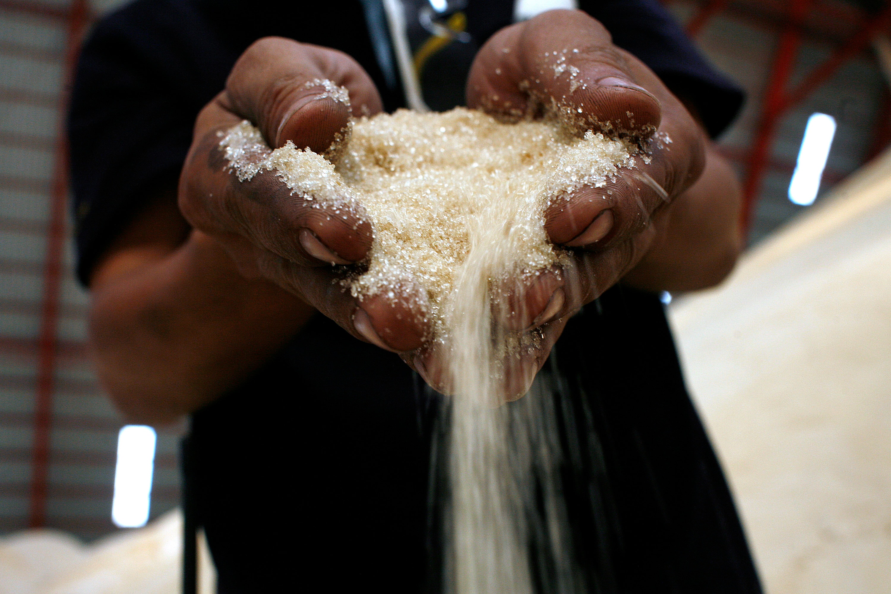 Government Allows Duty-Free Import Of 5 Lakh Tonnes Raw Sugar