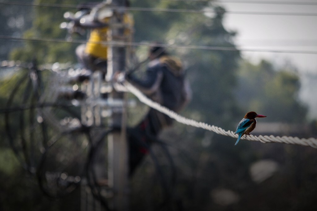 How Power Lines Could Help Lead To Peace In  Kashmir