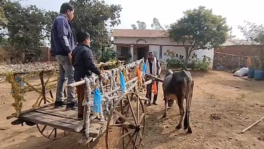 Homestays in Rewa: बैलगाड़ी में पर्यटक Homestays in Rewa: बैलगाड़ी में पर्यटक