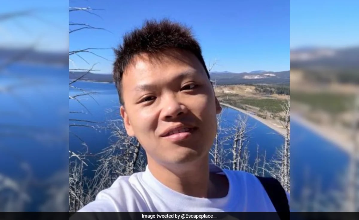 The Art of Baking: From Classic Bread to Artisan Pastries