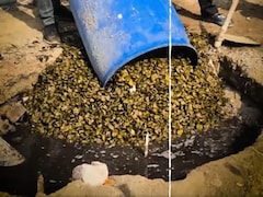 1,600 Kg Of Unsafe Pickle, 200 Kg Of Ghee And Jaggery Busted In Rajasthan