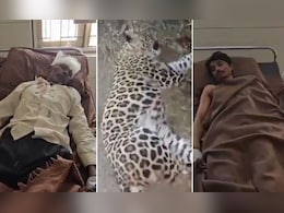 बेटे की जान बचाने के लिए बुजुर्ग पिता ने तेंदुए को उतारा मौत के घाट, किसान की बहादुरी देख लोग दंग