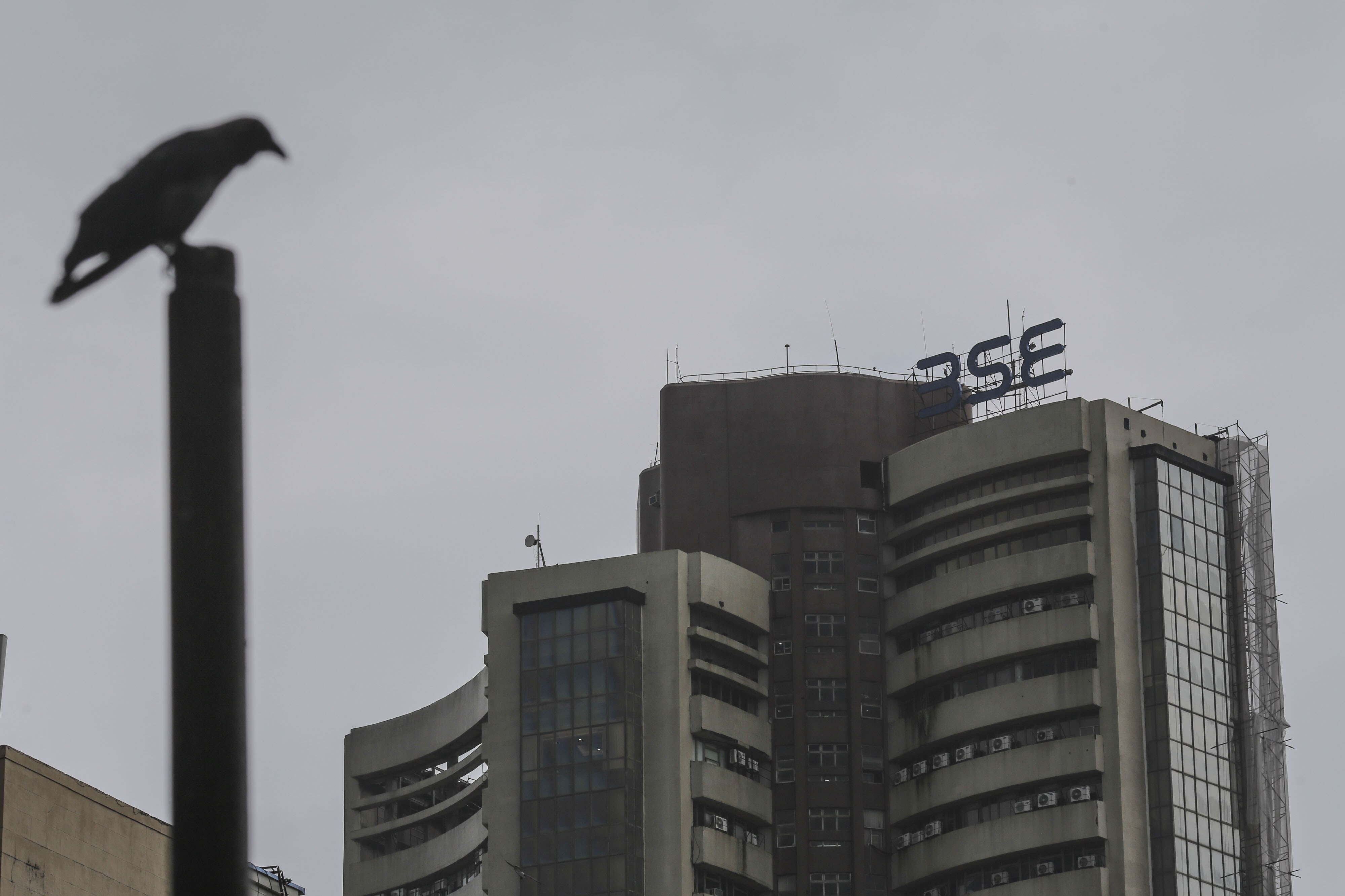 Sensex, Nifty End Little Changed; IT Stocks Fall, Energy Shares Rise