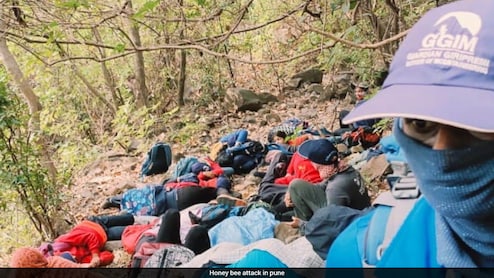 Pune News : पुण्यात ट्रेकिंगसाठी गेलेल्या 50 विद्यार्थ्यांचा जीव धोक्यात; स्थानिकांमुळे मोठा अनर्थ टळला! Pune News : पुण्यात ट्रेकिंगसाठी गेलेल्या 50 विद्यार्थ्यांचा जीव धोक्यात; स्थानिकांमुळे मोठा अनर्थ टळला!