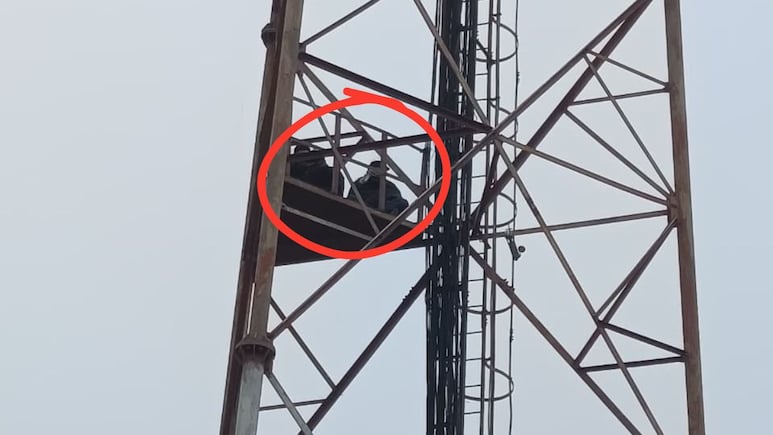 दौसा में युवकों का हाई-वोल्टेज ड्रामा, 3 घंटे से मोबाइल टावर पर चढ़े; प्रशासन के फूले हाथ-पांव