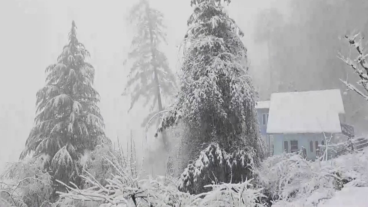 Fresh Snowfall Blankets Ramban; Jammu's Batote Turns Into Winter Wonderland