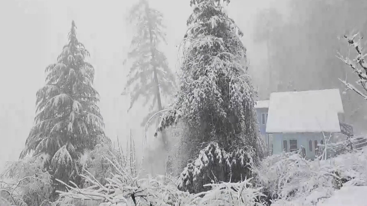 Fresh Snowfall Blankets Ramban; Jammu's Batote Turns Into Winter Wonderland
