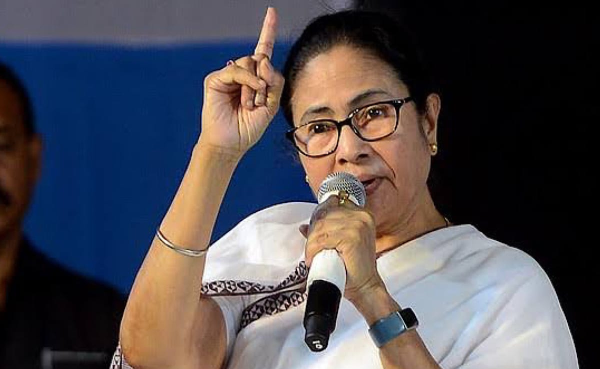 Mamata Banerjee May Visit Delhi In February To Protest Against SIR: Sources