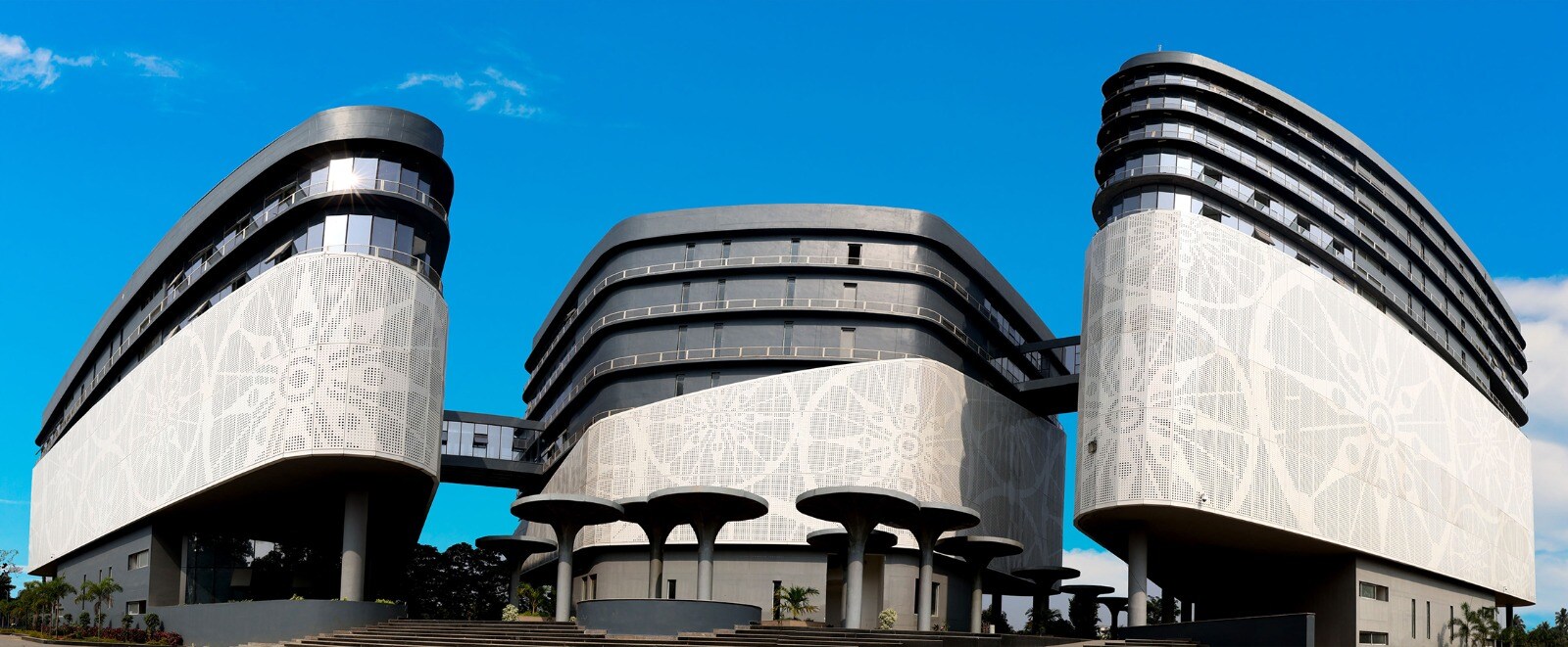NCC Q1 Results: Profit Slips Even As Revenue Exceeds Rs 4,900 Crore
