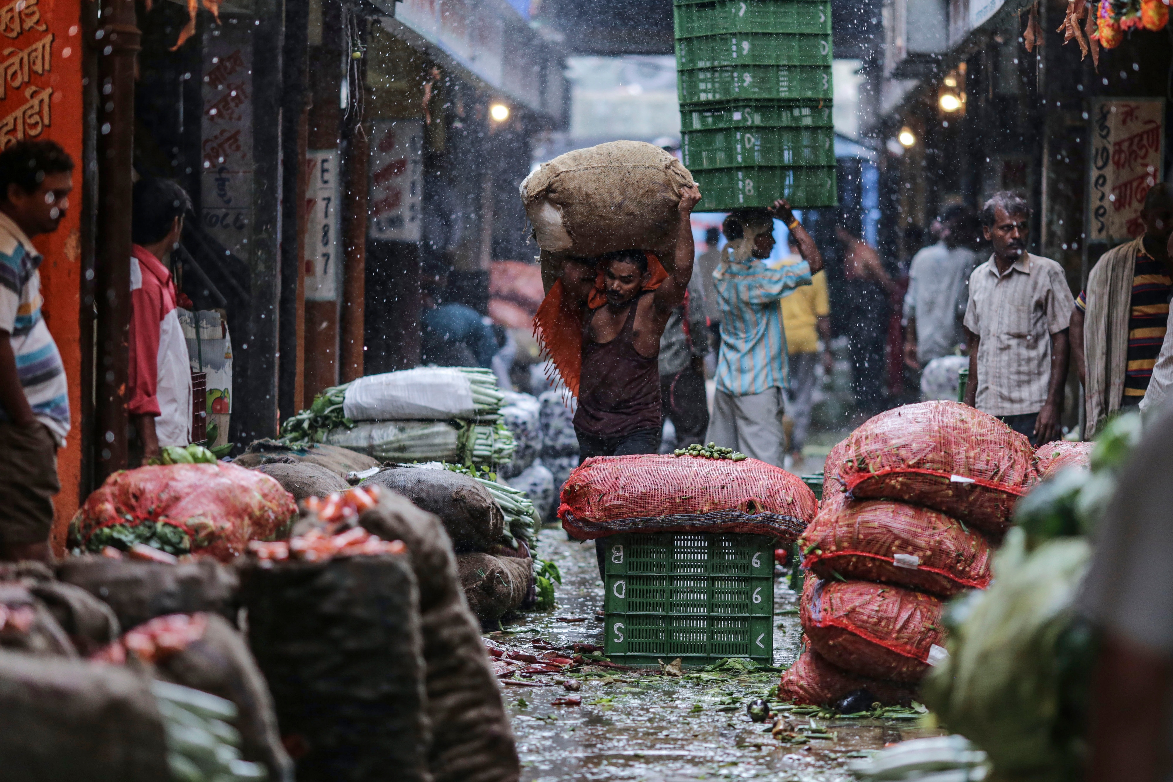 Normal Monsoon Forecast To Aid Rural Recovery, Brokerages Say