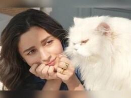 जब बॉलीवुड एक्टर्स ने अपने प्यारे पालतू के साथ हमारा दिल जीत लिया