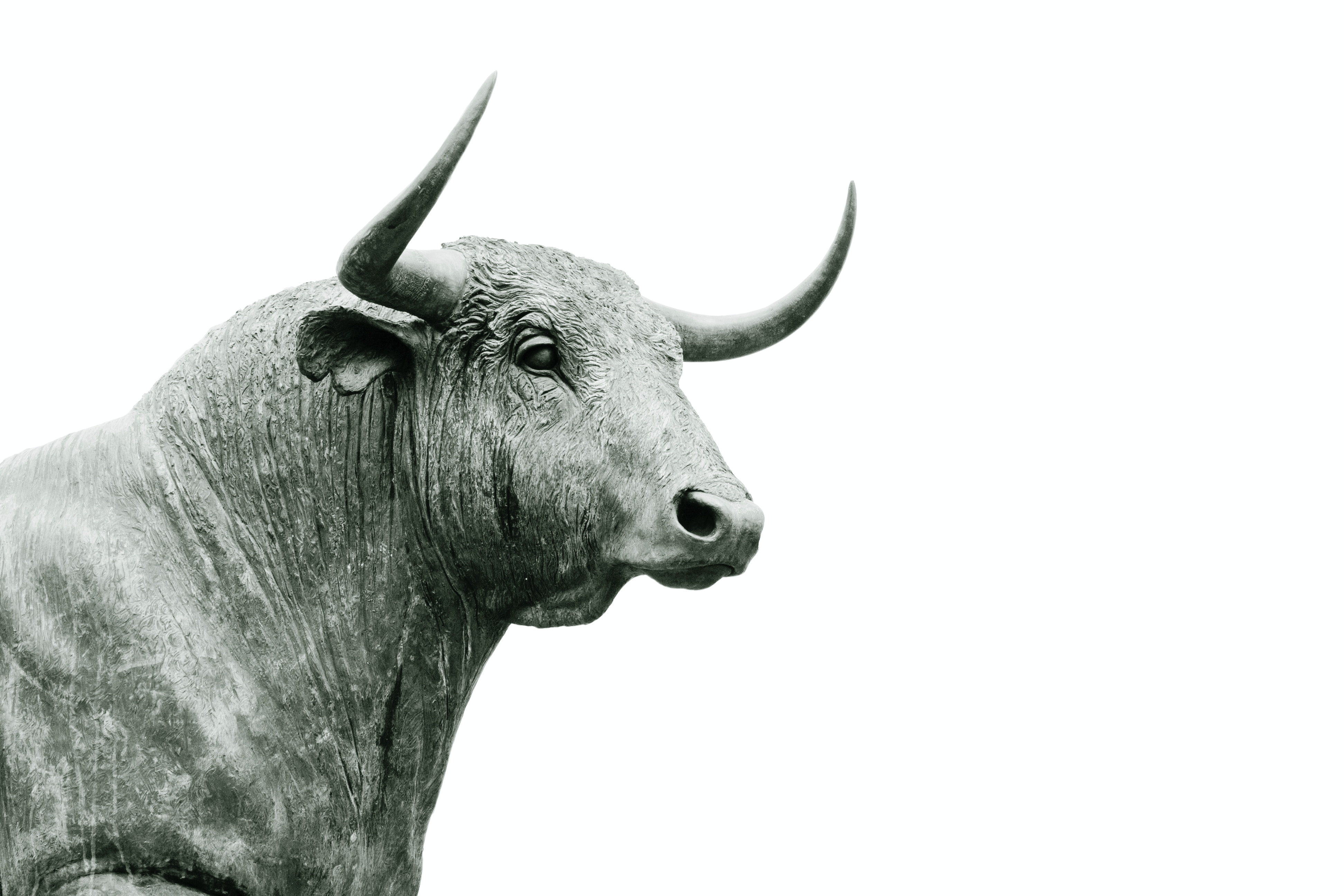 Nifty Midcap 100 Logs Best Winning Streak Since Inception