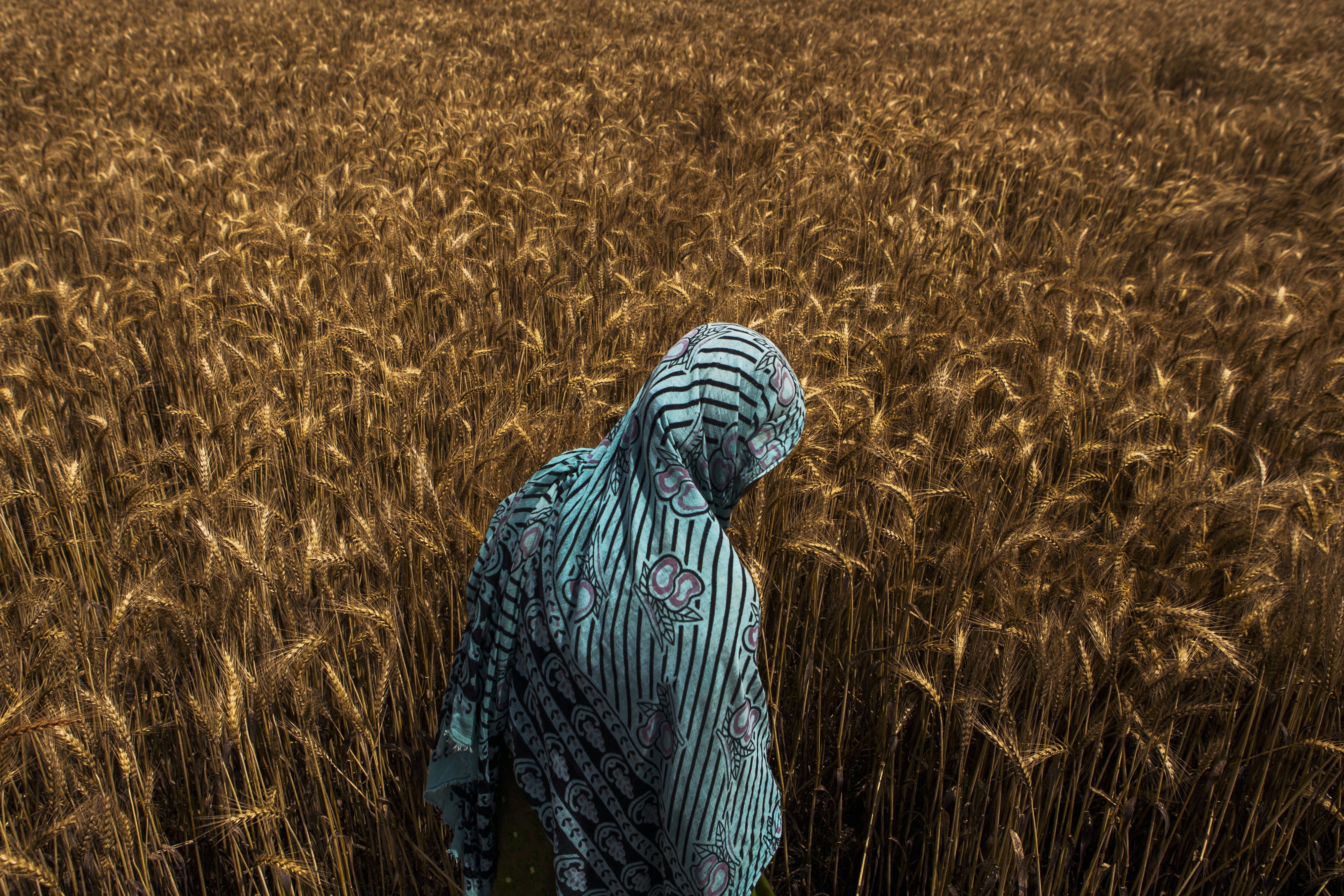 India&rsquo;s Largest Crop Insurer Delays Claims As It Is Yet To Receive Subsidy
