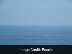 5,000-Year-Old Whale Harpoons Found In Brazil Could Rewrite History Of Ancient Whaling