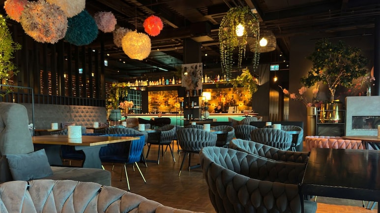 BMC Election 2026: मतदान केल्यास होणार मोठा फायदा, ऑफर अजिबात चुकवू नका