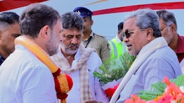 Amid Congress' Karnataka Leadership Row, A Minister's "Stray Dogs" Jab