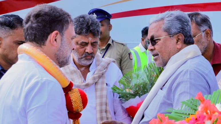 Amid Congress' Karnataka Leadership Row, A Minister's "Stray Dogs" Jab