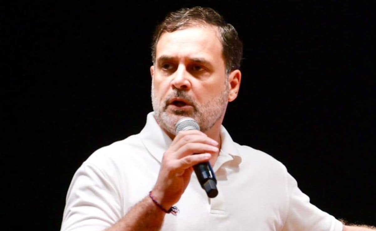 'Haven't Even Spoken About Tariffs': Rahul Gandhi's 'Dead Economy' Jab At Centre