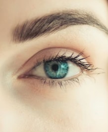 Best Foods That Help To Improve Eyesight