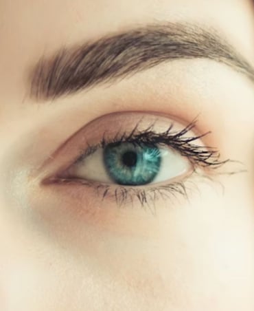 Best Foods That Help To Improve Eyesight