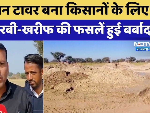 Nagaur News:Farmers के लिए मुसीबत Rabi-Kharif की Crops हुई बर्बाद | Rajasthan Top News | Latest News