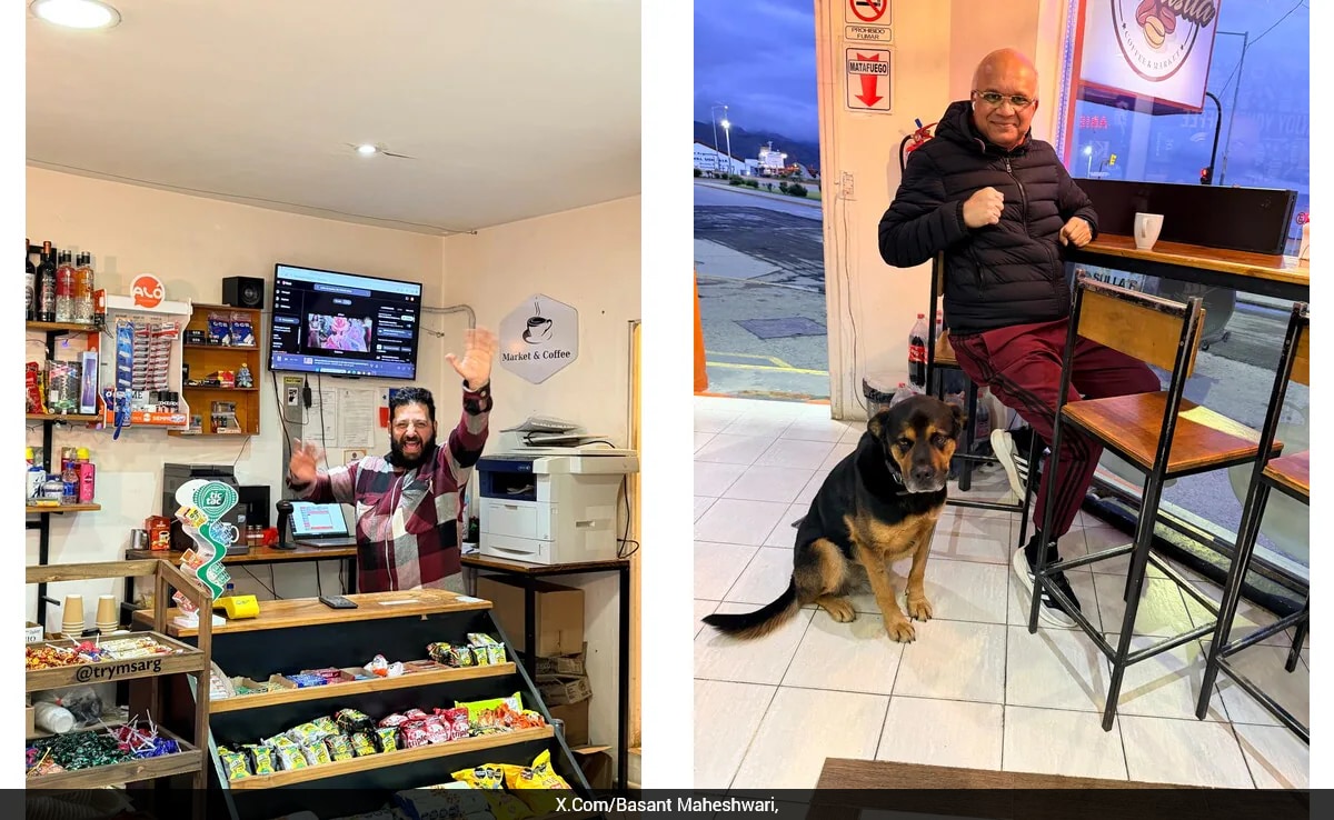 The Art of Baking: From Classic Bread to Artisan Pastries