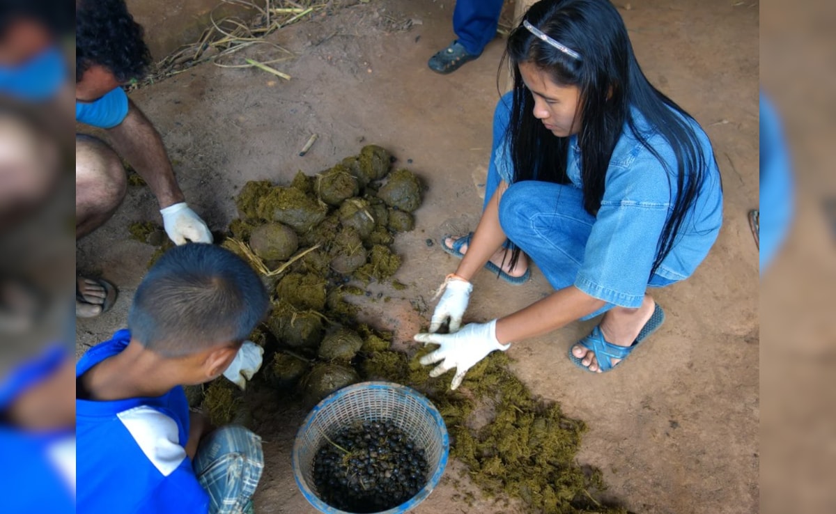 Latest and Breaking News on NDTV