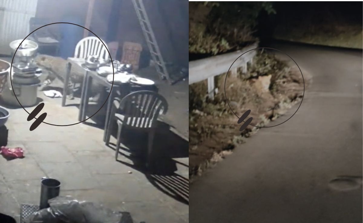 Latest and Breaking News on NDTV